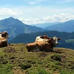 No 1 Hausberg