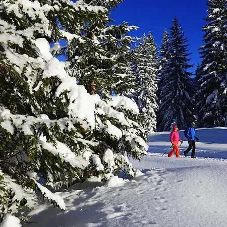 No 1 Hausberg *