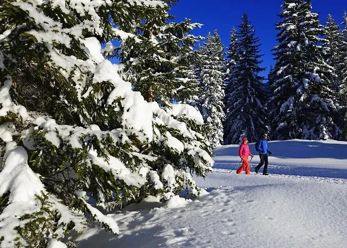 No 1 Hausberg *